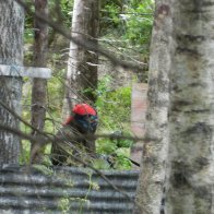 Viikkopelit 16.7-13 J&Auml;MS&Auml; 233