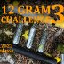 12 gram challenge 3.jpg
