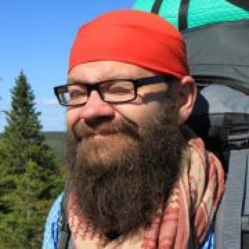 Timo Veli Henrik Laine