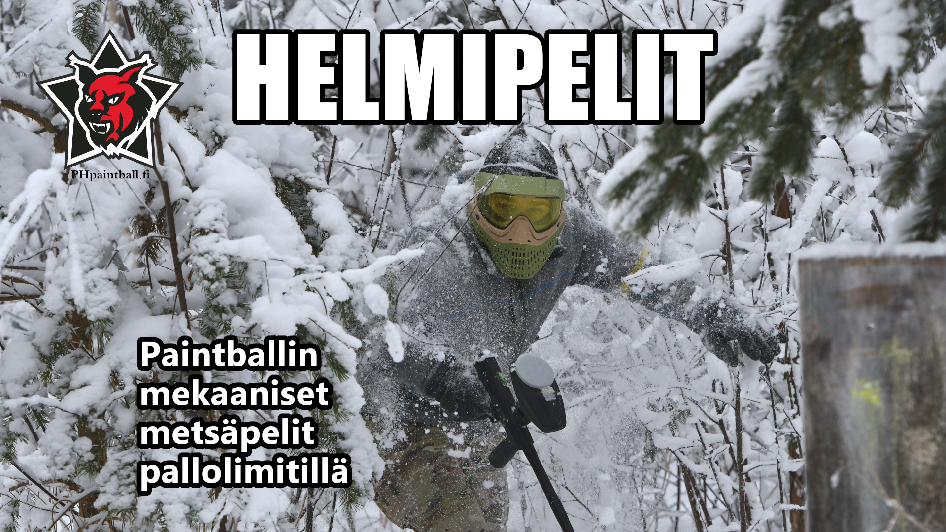 ph-helmipelit.jpg