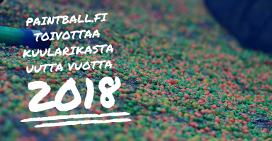 Hyv&auml;&auml; uutta vuotta!