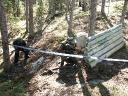 5 tapaa pirist&auml;&auml; vanhaa mets&auml;kentt&auml;&auml;