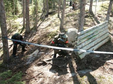 5 tapaa piristää vanhaa metsäkenttää