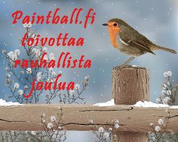 Hyv&auml;&auml; joulua!