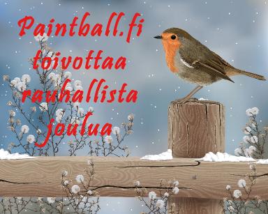 Hyv&auml;&auml; joulua!