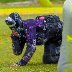 spbl2017knummi_2div_003