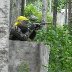 Viikkopelit 16.7-13 J&Auml;MS&Auml; 124