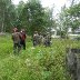 Viikkopelit 16.7-13 J&Auml;MS&Auml; 248