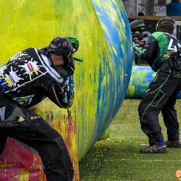 spbl2017knummi_pk_030.jpg