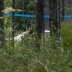 Viikkopelit 16.7-13 J&Auml;MS&Auml; 233