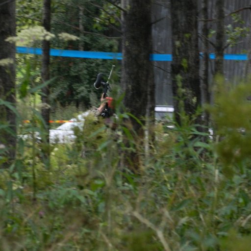 Viikkopelit 16.7-13 J&Auml;MS&Auml; 233