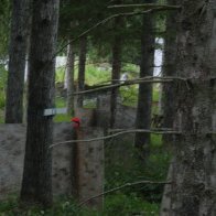 Viikkopelit 16.7-13 J&Auml;MS&Auml; 233