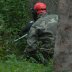 Viikkopelit 16.7-13 J&Auml;MS&Auml; 233