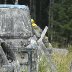 Viikkopelit 16.7-13 J&Auml;MS&Auml; 233