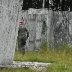Viikkopelit 16.7-13 J&Auml;MS&Auml; 233