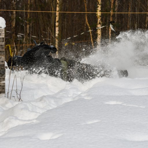 Snow Diving