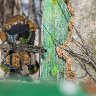 PH_maaliskuun_talvipelit_2018_004