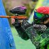 SPBL2018 Vierum&auml;ki - 1. divisioona - 007