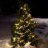 Hyv&auml;&auml; joulua!