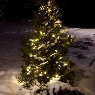 Hyv&auml;&auml; joulua!