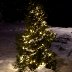 Hyv&auml;&auml; joulua!
