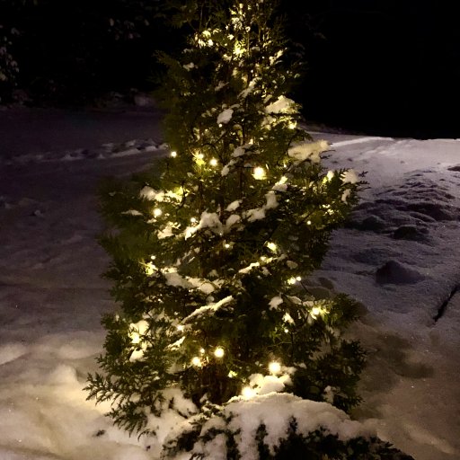 Hyv&auml;&auml; joulua!