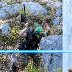 Suurpeli 2019 - Vihre&auml;t - 008
