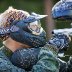 IMG_2347