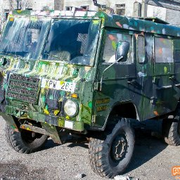 viro07_004.jpg