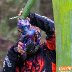 SPBL2021 Vierum&auml;ki - BOS Paintball - 002