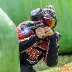 SPBL2021 Vierum&auml;ki - PH Paintball - 008