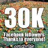 30K Facebook followers! Thanks to everyone!