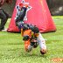 Diving