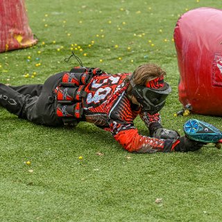 15 20260329-ph-treeni1-15.jpg