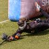 Diving to snake