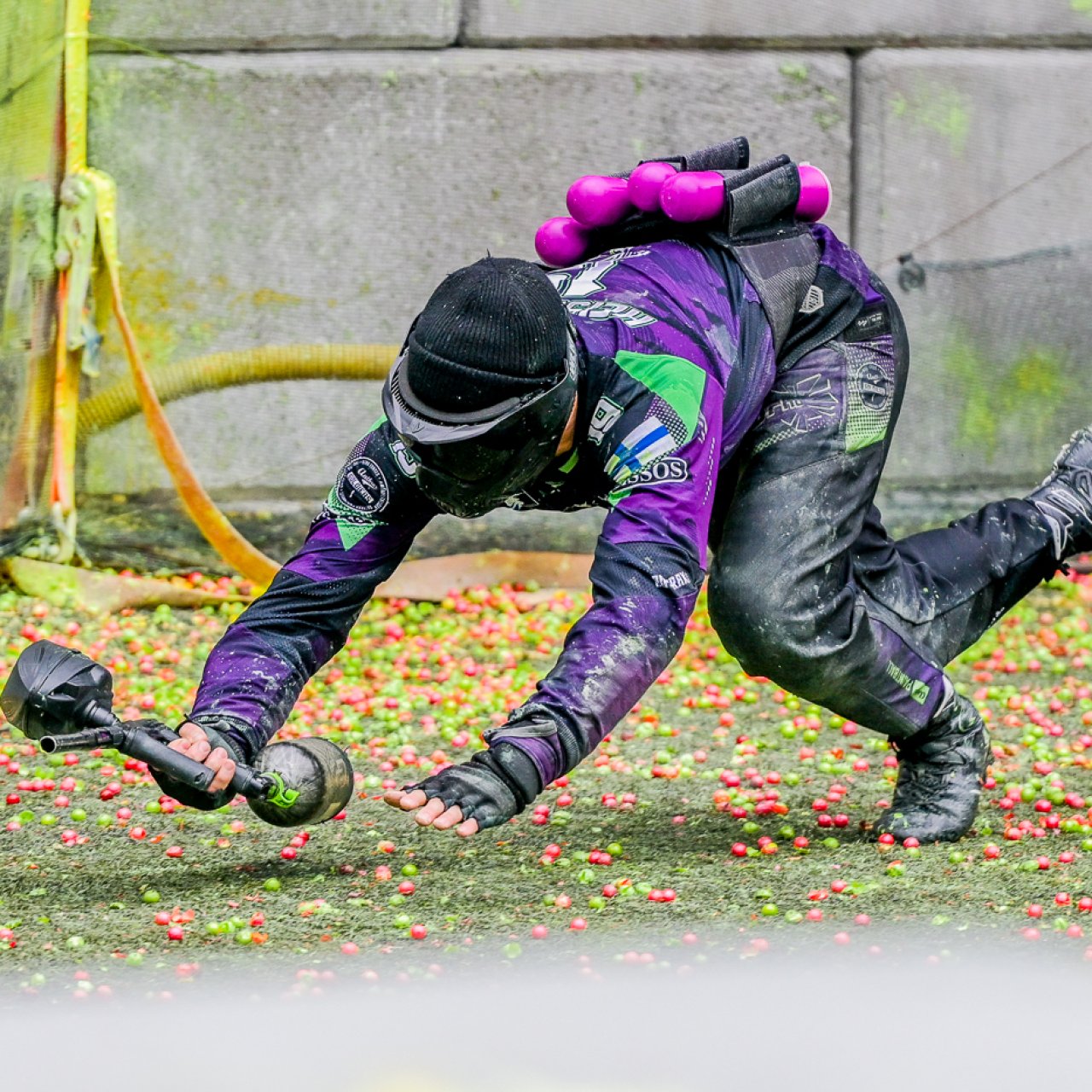 Ready to dive