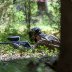 IMG_5494