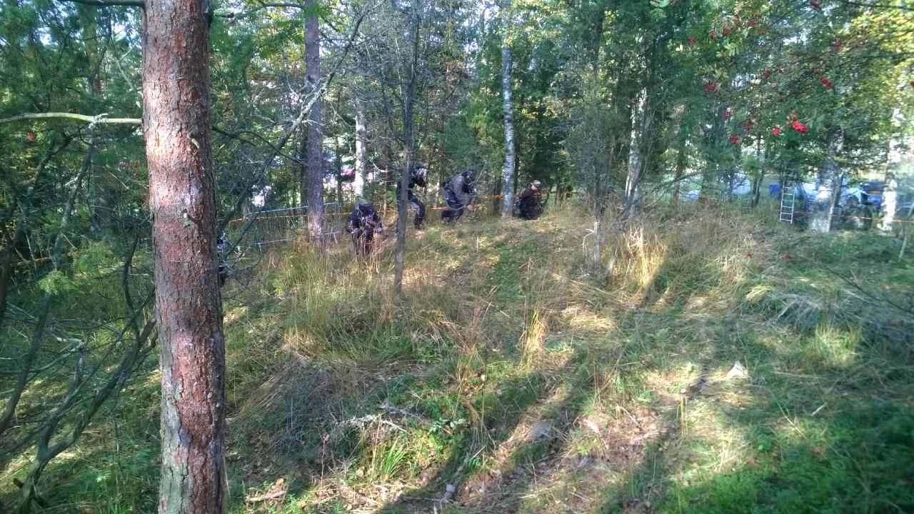 valokuvat image