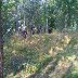 WP_20140919_003