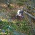 WP_20140919_003
