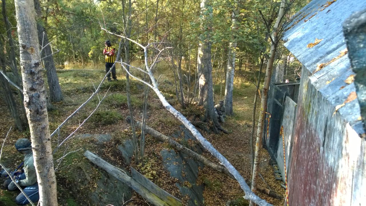 valokuvat image