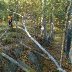 WP_20140919_003