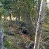 WP_20140919_003