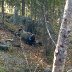 WP_20140919_003