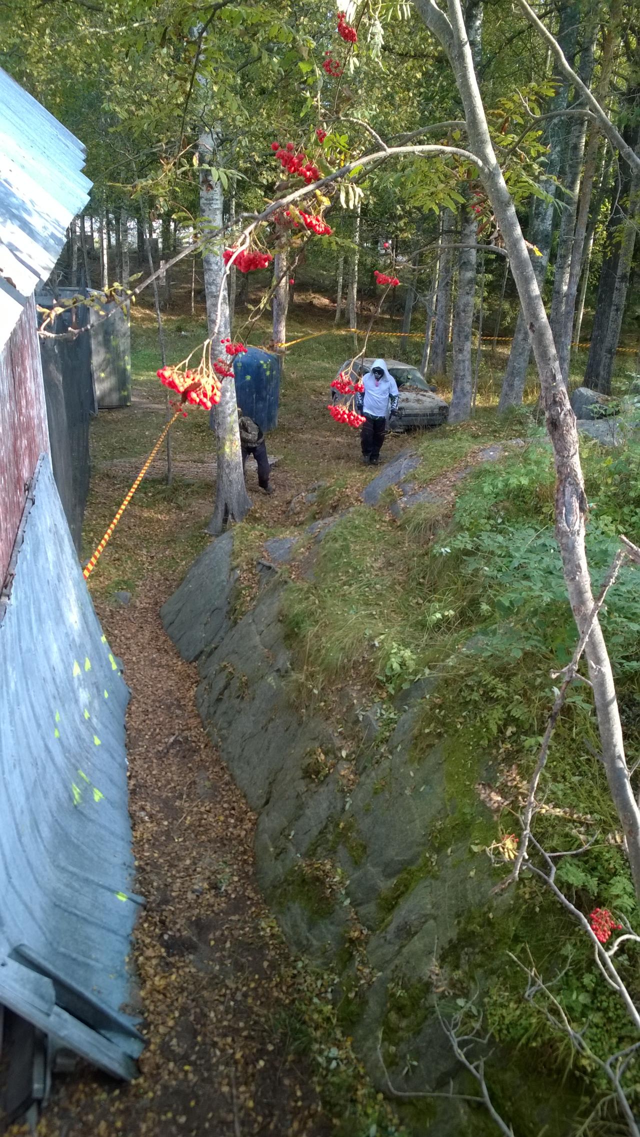 valokuvat image