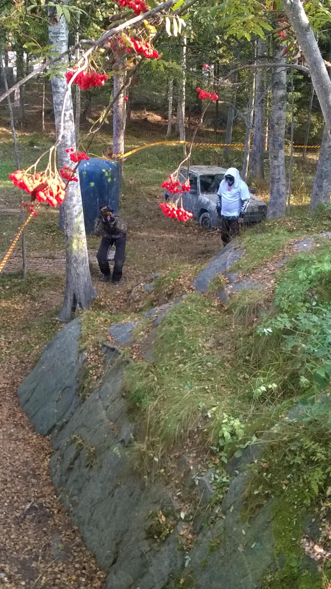 valokuvat image