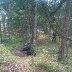 WP_20140919_003