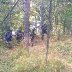 WP_20140919_003
