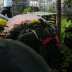 DSCN2868