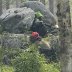 DSCN3674